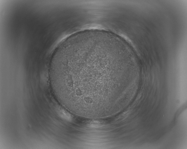 X0000068721359200605051422