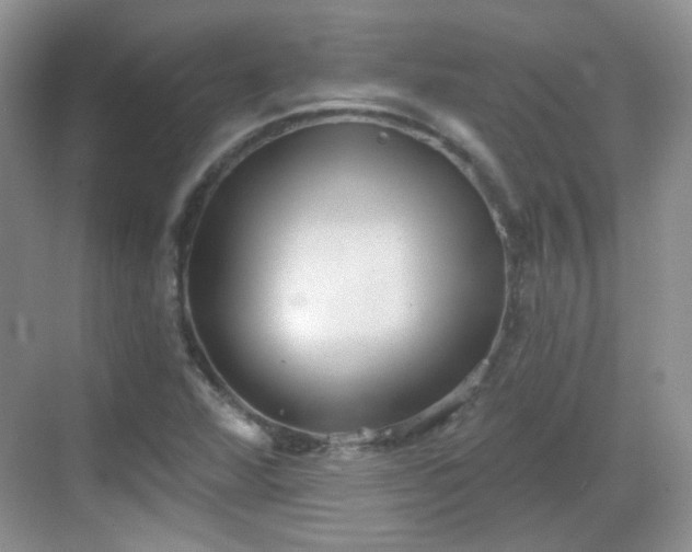 X0000068721360200605051422