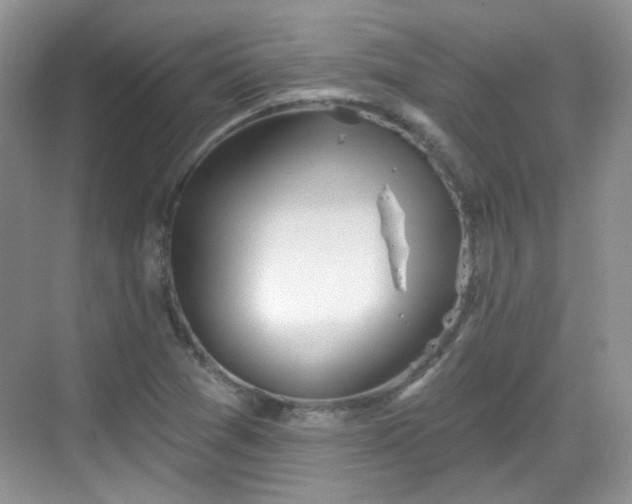 X0000068721361200605051422