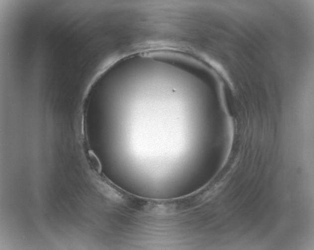 X0000068721365200605051422