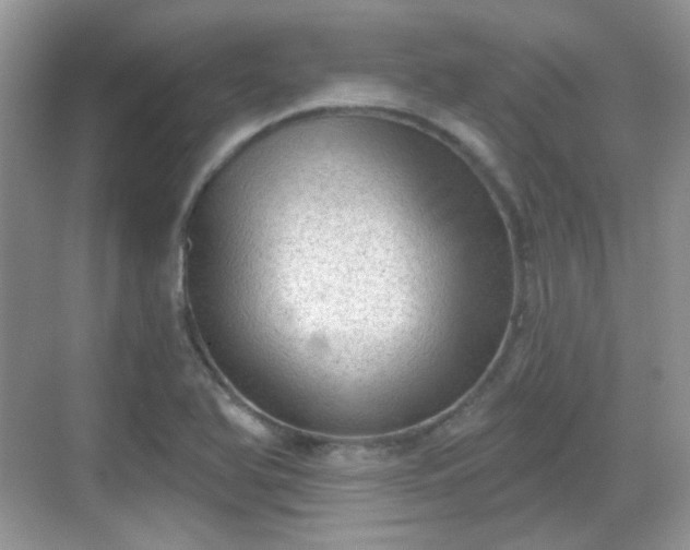 X0000068721366200605051422