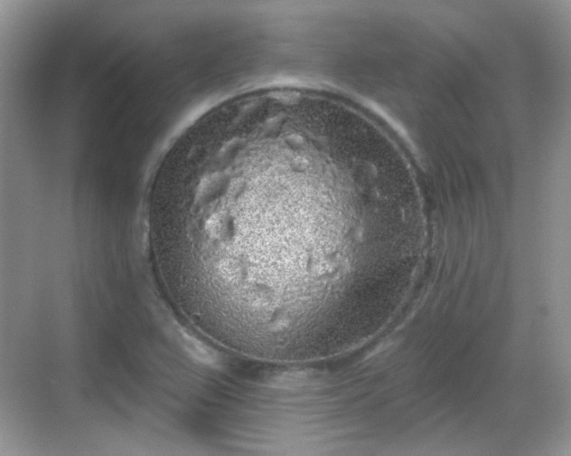 X0000068721367200605051422