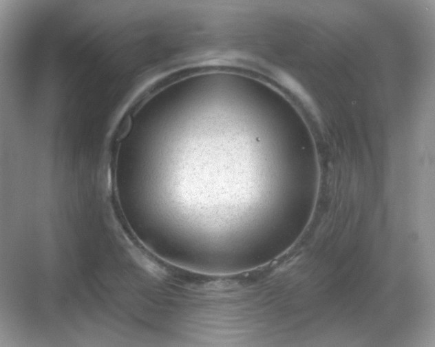 X0000068721368200605051422