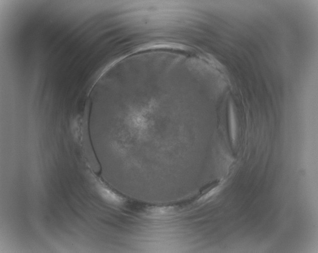 X0000068721369200605051422