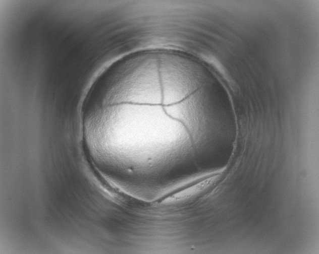 X0000068721371200605051422