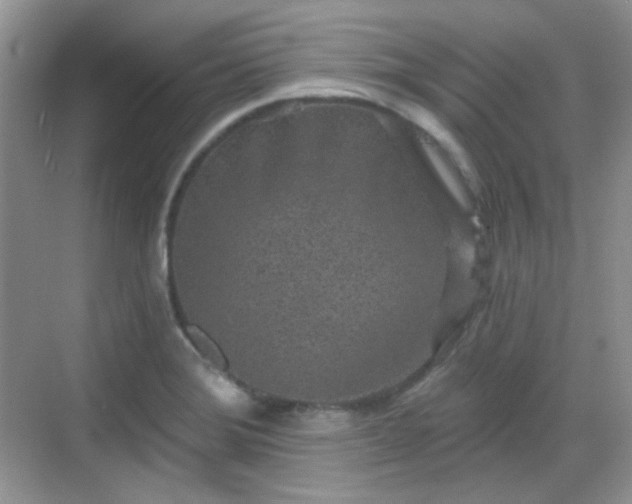 X0000068721372200605051422