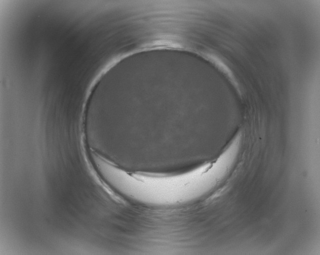 X0000068721373200605051422