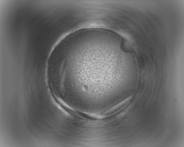 X0000068721374200605051422