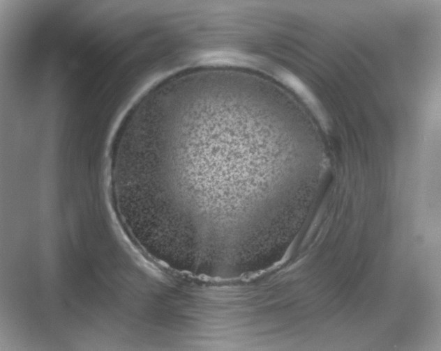 X0000068721376200605051422