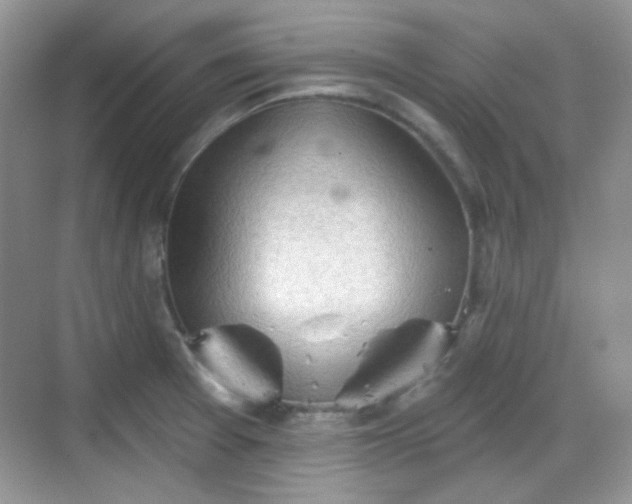 X0000068721377200605051422