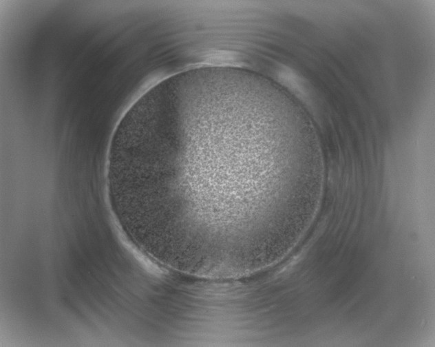 X0000068721378200605051422