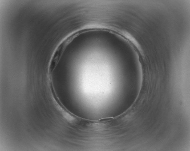 X0000068721380200605051422