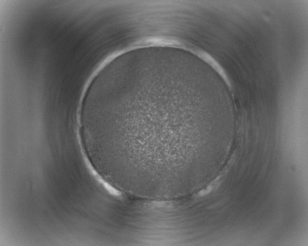 X0000068721381200605051422