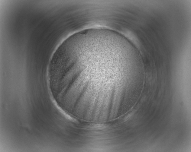 X0000068721382200605051422