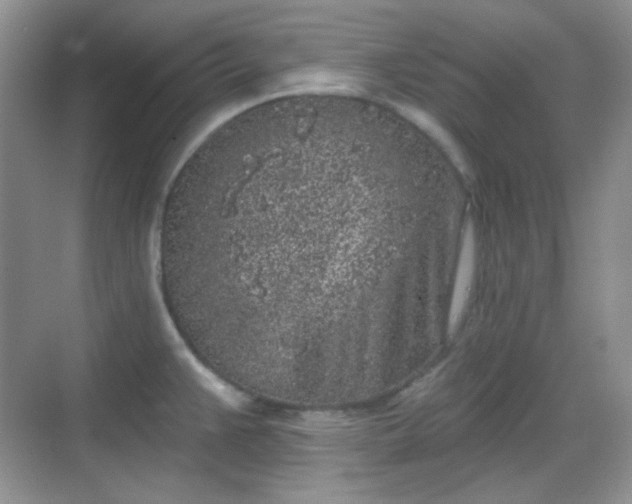 X0000068721383200605051422