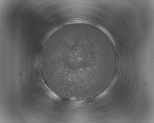 X0000068721385200605051422