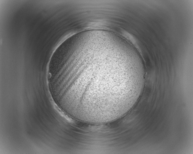 X0000068721386200605051422