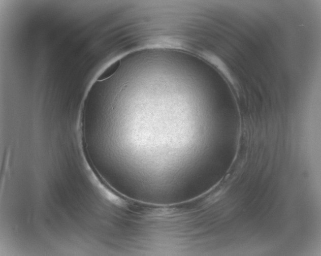 X0000068721387200605051422