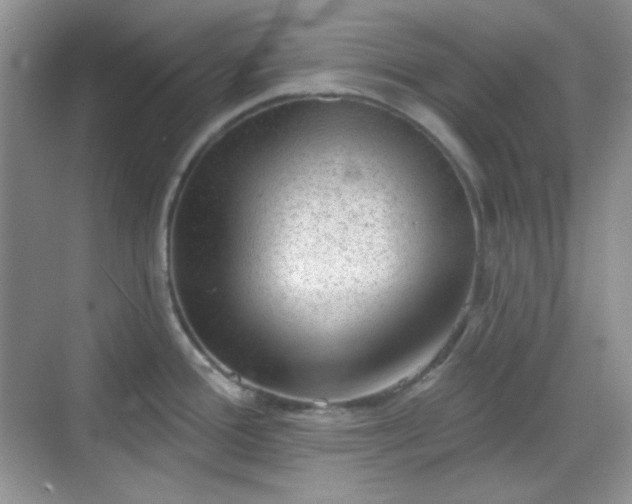 X0000068721388200605051422