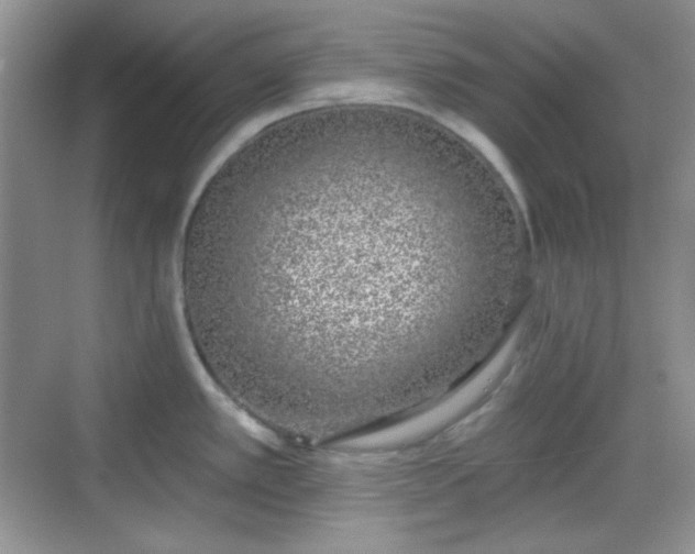 X0000068721389200605051422