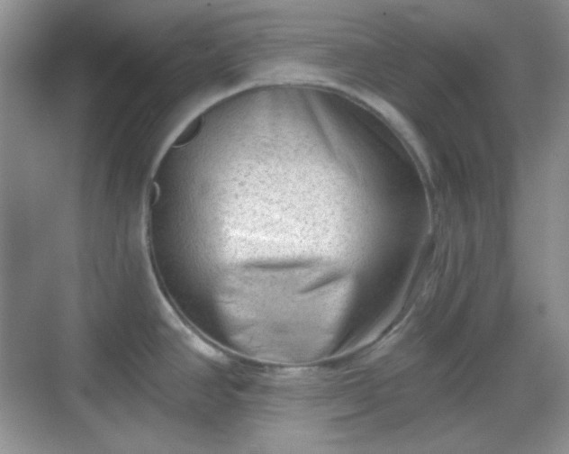 X0000068721390200605051422