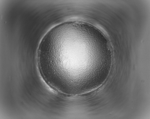 X0000068721392200605051422