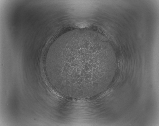 X0000068721393200605051421