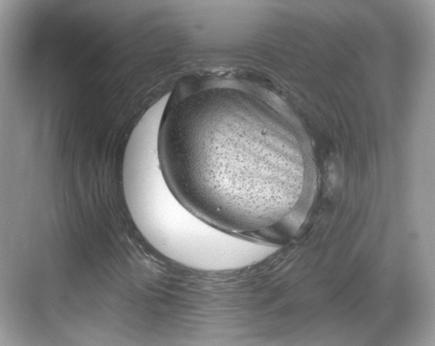 X0000068721394200605051421