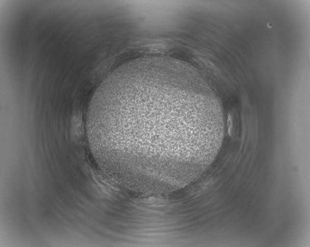 X0000068721395200605051421