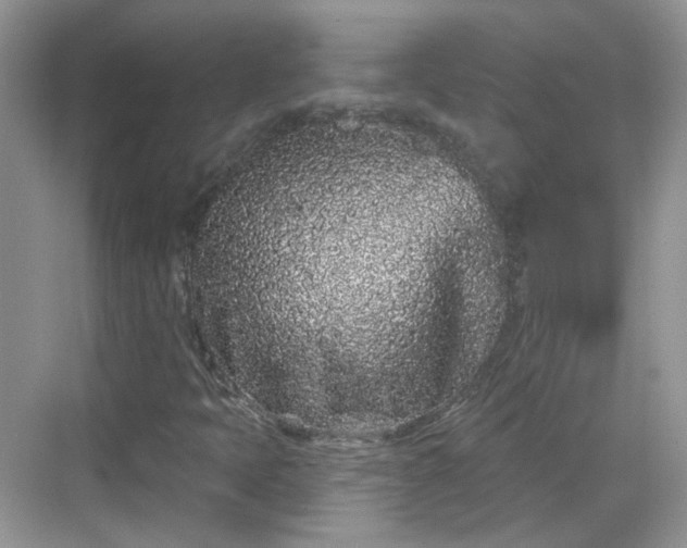 X0000068721397200605051421