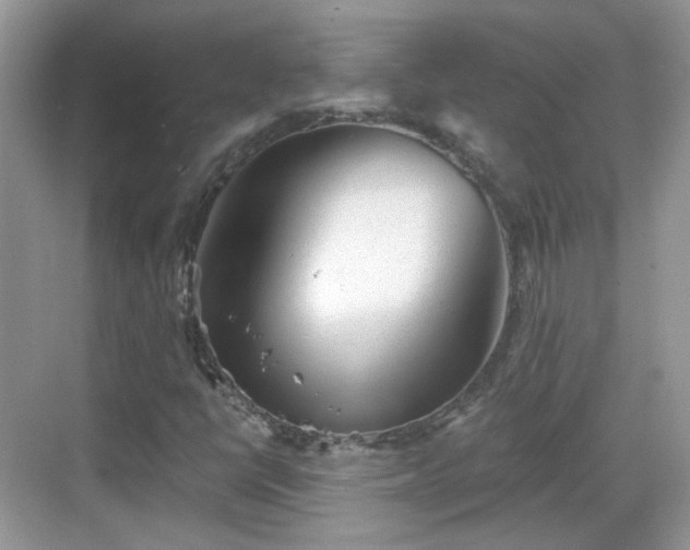 X0000068721398200605051421