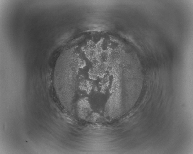 X0000068721399200605051421