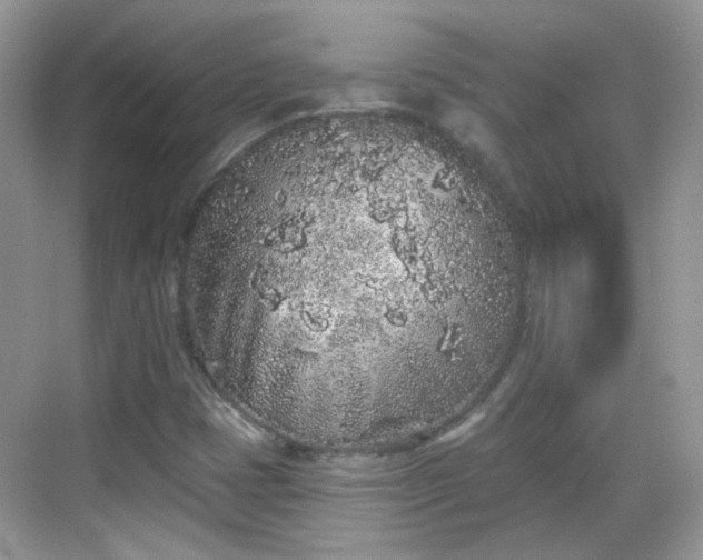 X0000068721401200605051421