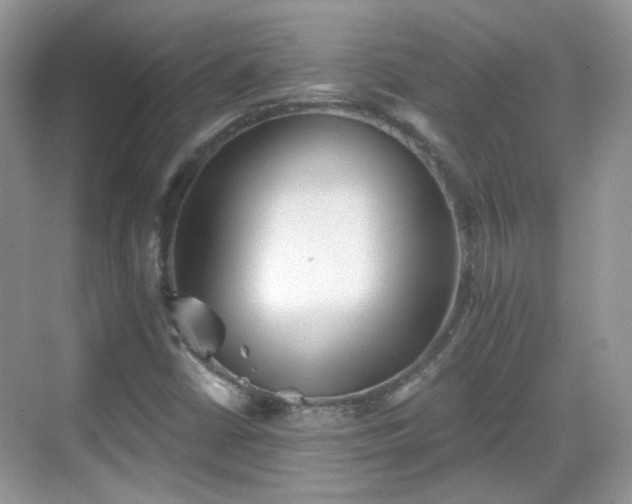 X0000068721402200605051421