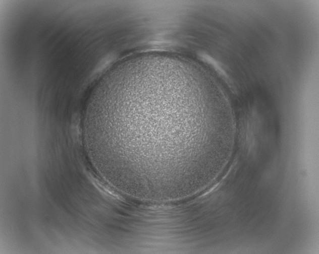 X0000068721403200605051421