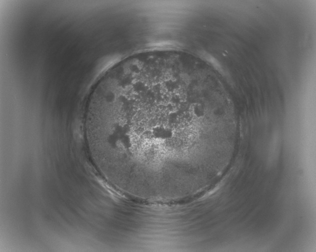 X0000068721405200605051421