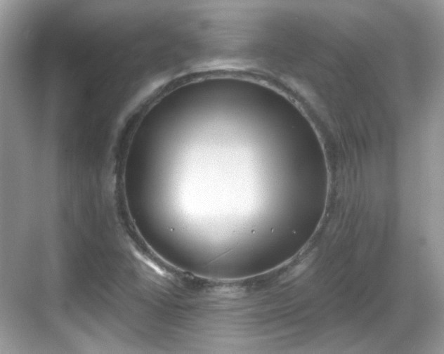 X0000068721406200605051421