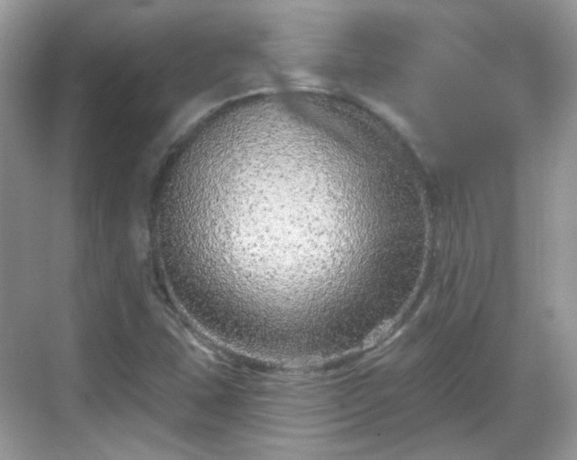 X0000068721407200605051421