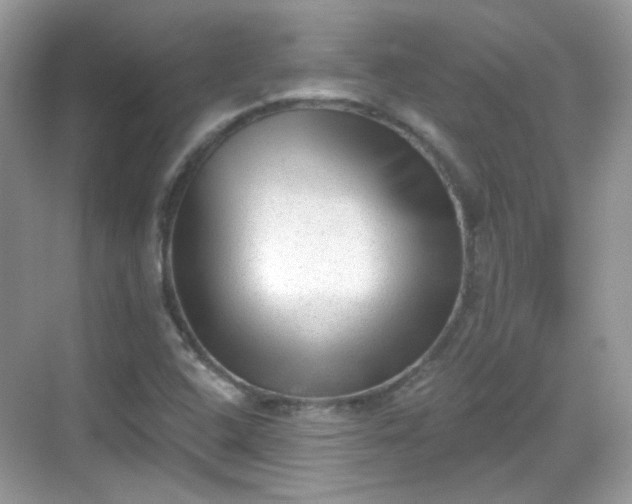 X0000068721408200605051421