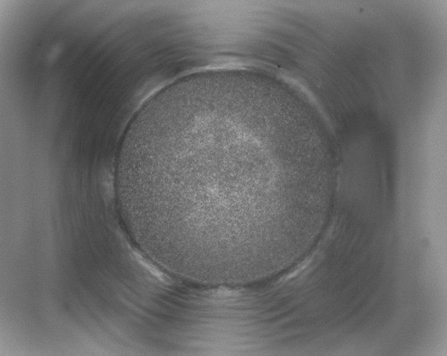 X0000068721409200605051421