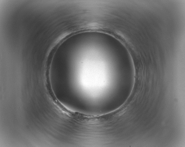 X0000068721410200605051421