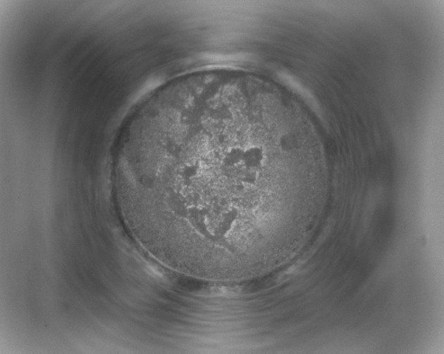 X0000068721411200605051421