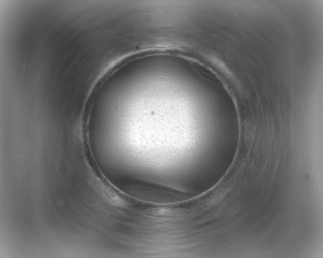 X0000068721412200605051421