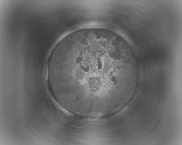 X0000068721413200605051421