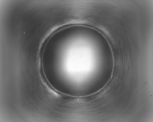 X0000068721414200605051421