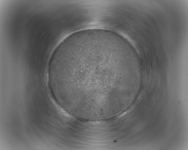 X0000068721415200605051421