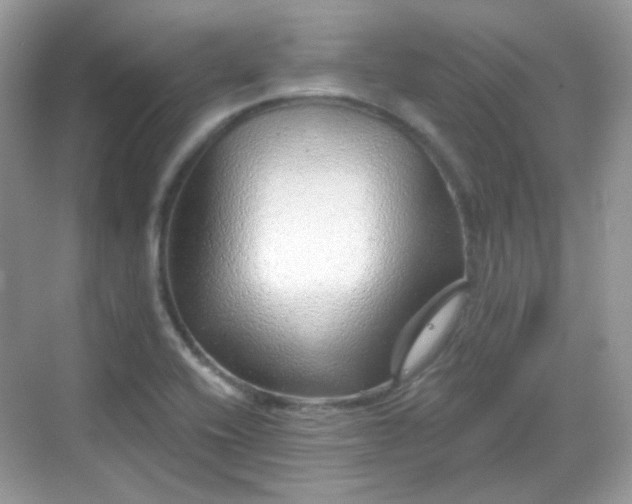 X0000068721416200605051421