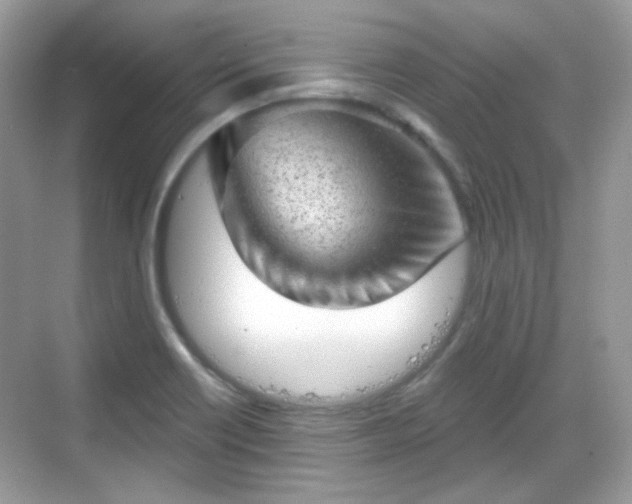 X0000068721418200605051421