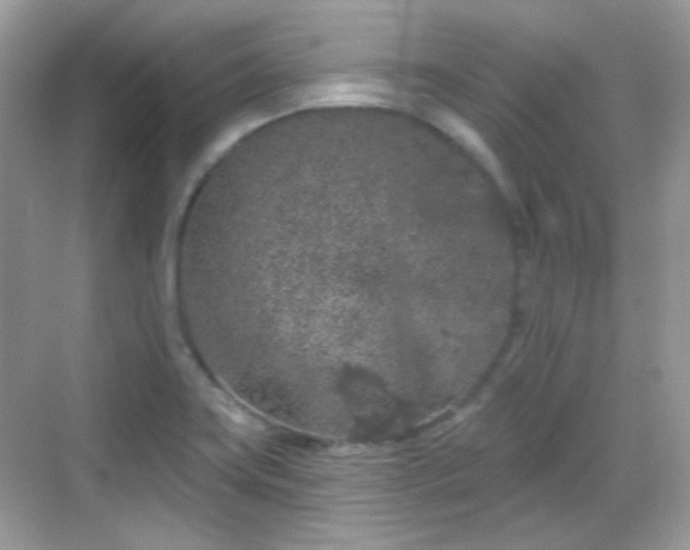 X0000068721419200605051421