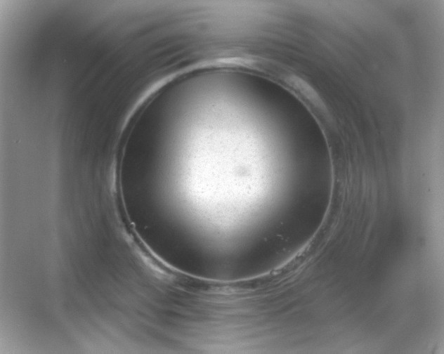 X0000068721420200605051421